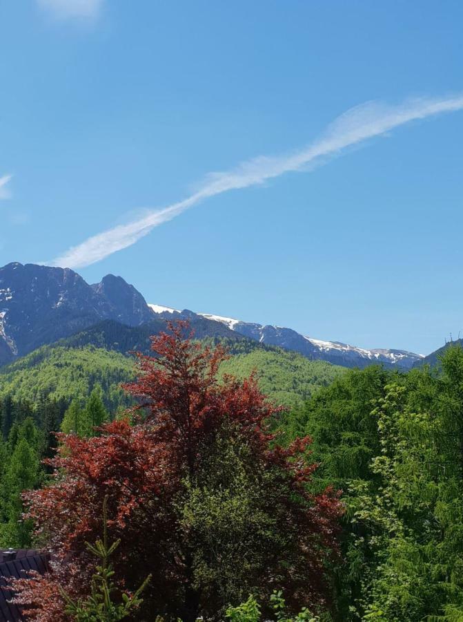 Bel-Ami Bed & Breakfast Zakopane Exterior photo